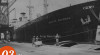 Foto Kapal Dagang Amerika Serikat “Martin Behrman” yang sedang berlabuh di pelabuhan Tanjung Priok, Jakarta pada 3 Maret 1947.